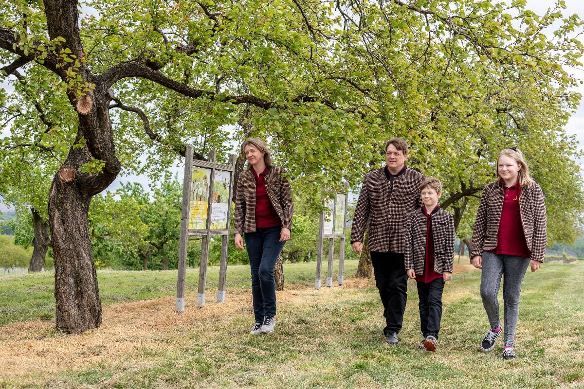 Kurzführung Marillenfamilie