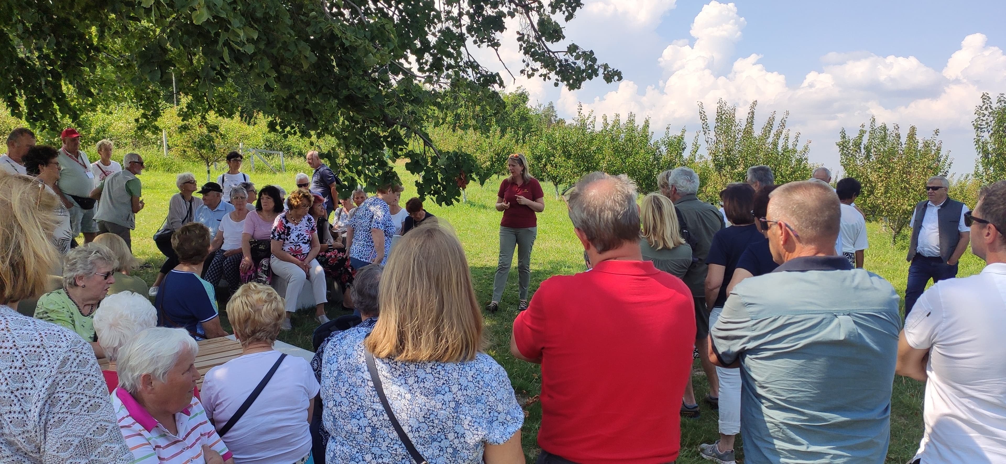 Von Baum bis zur Spezialität